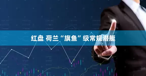 红盘 荷兰“旗鱼”级常规潜艇