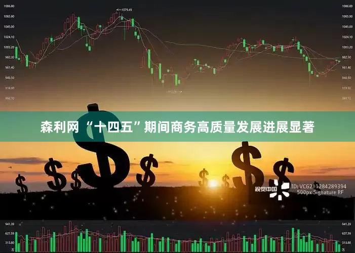森利网 “十四五”期间商务高质量发展进展显著