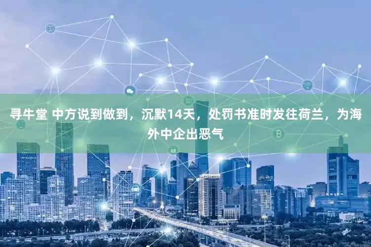 寻牛堂 中方说到做到，沉默14天，处罚书准时发往荷兰，为海外中企出恶气